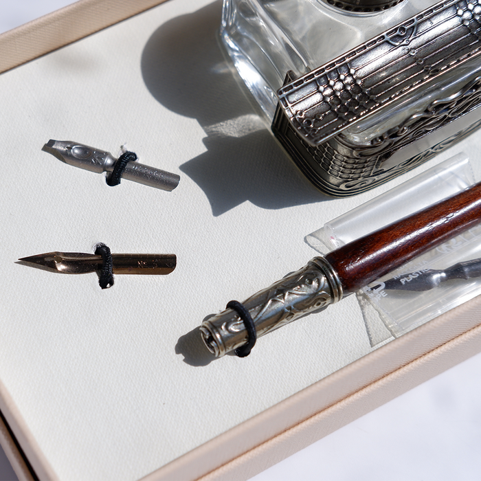 Bortoletti calligraphy pen set with various nibs and ink bottles for artistic writing and calligraphy projects.