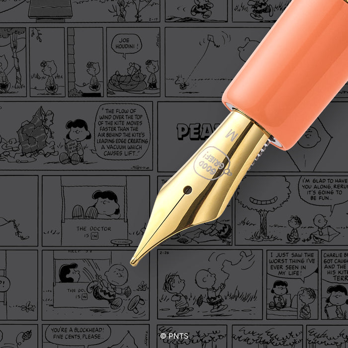 Esterbrook x PEANUT Sally Estie fountain pen with gray background, showcasing the pen's design and branding details.
