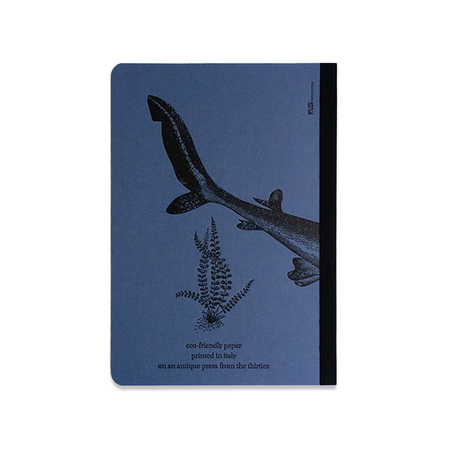 Rossi shark-themed journal with a detailed shark illustration on the cover, perfect for writing and note-taking.