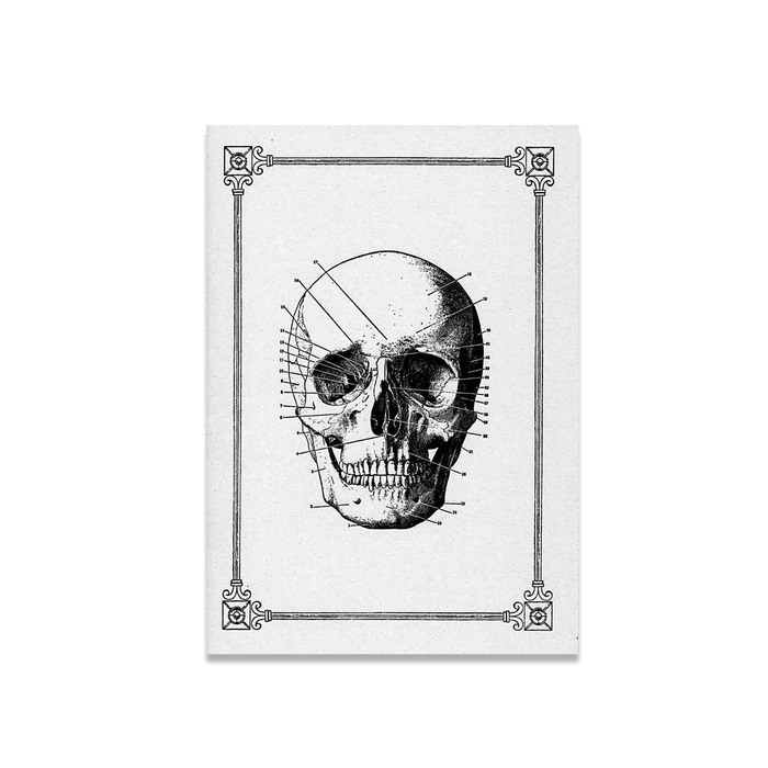 Rossi Skull A5 soft cover stitched journal with a detailed skull design on the front page.
