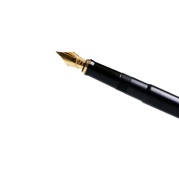 Wahl-Eversharp Skyline fountain pen with black body and gold trim, elegant writing instrument featuring a sleek design and fine nib.