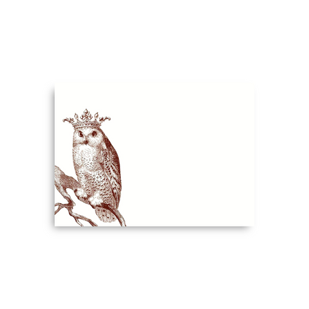 Alexa Pulitzer Snowy Owl A6 Notes featuring a detailed snowy owl illustration on the cover.
