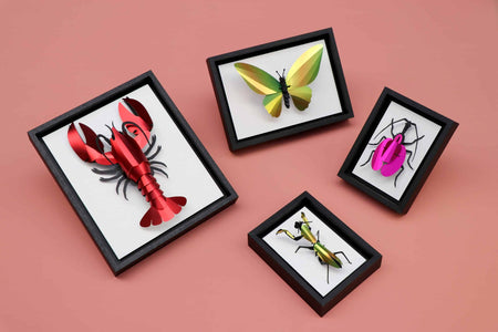 Black craft frame with insect display, featuring detailed insect illustrations in a natural, decorative presentation.