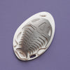 Silver paper fossil art of a trilobite by Assembli, detailed and textured trilobite fossil sculpture on a white background.