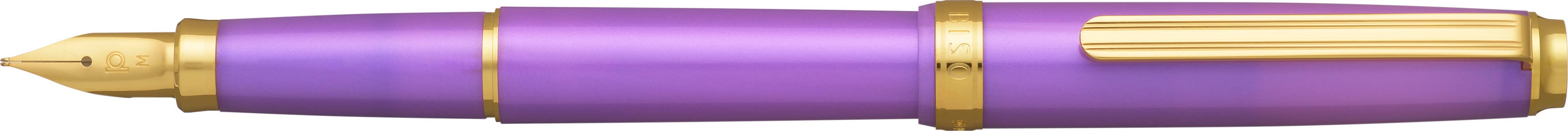 Luxury Brands of America platinum BISO fountain pen with sleek design and polished finish, close-up view of the pen's body.