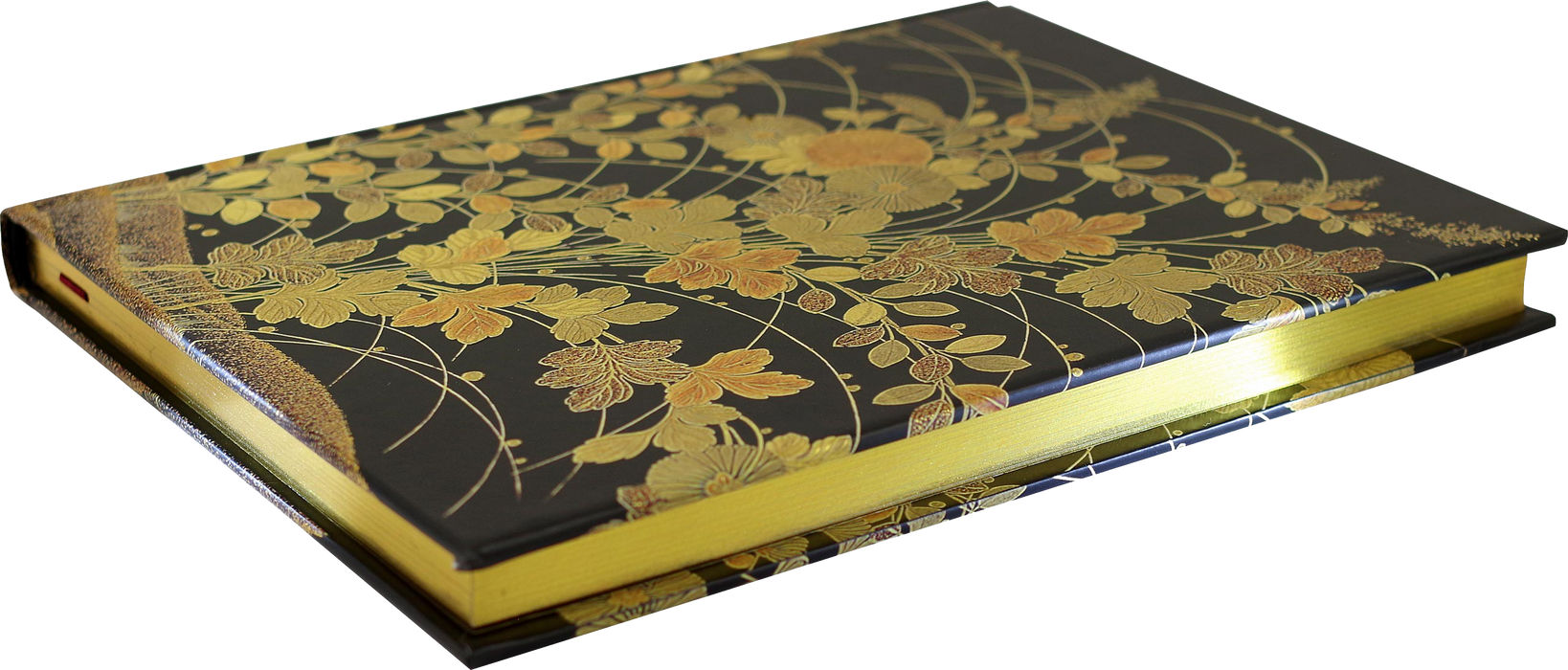Autumn Grasses Journal by Peter Pauper Press with illustrated cover featuring colorful autumn grasses and leaves.