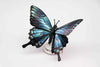 Blue mountain butterfly craft made from paper, featuring vibrant blue wings and detailed design by Assembli.