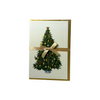 Rossi Christmas card featuring festive candy canes and holiday decorations on a Christmas tree background.
