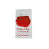Cleo Skribent bottled fountain pen ink in Brilliant Red with a glass ink bottle and red ink visible inside.