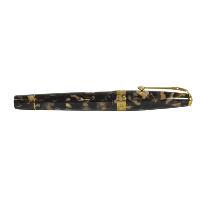 Conway Stewart Model 100 Tortoise fountain pen with gold clip and fine nib, featuring a tortoise-patterned resin body.