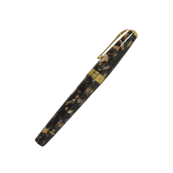 Conway Stewart Model 100 Tortoise fountain pen with gold clip and fine nib, showcasing its elegant tortoise-patterned resin body.
