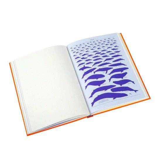 Large orange Grid & Guides journal by Princeton Architectural Press with grid pages for sketching and note-taking.