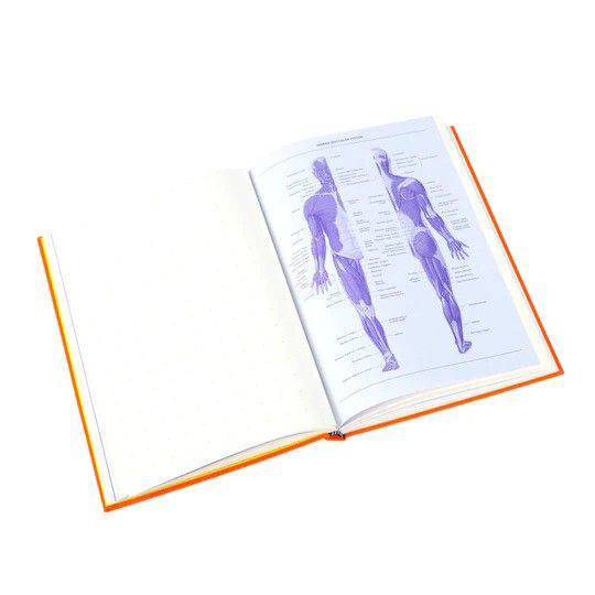 Large orange Grid & Guides journal by Princeton Architectural Press with a grid-lined cover for sketching and note-taking.