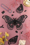 Assembli Paper Giant Silk Butterfly craft made of black paper with delicate, large butterfly wings for creative arts projects.