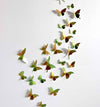 Assorted Caribbean green paper butterflies from Assembli's Paper Butterfly Collection for craft projects.
