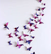 Assembli Paper Butterfly Collection crafts with vibrant Caribbean green paper, perfect for DIY art and decorative projects.