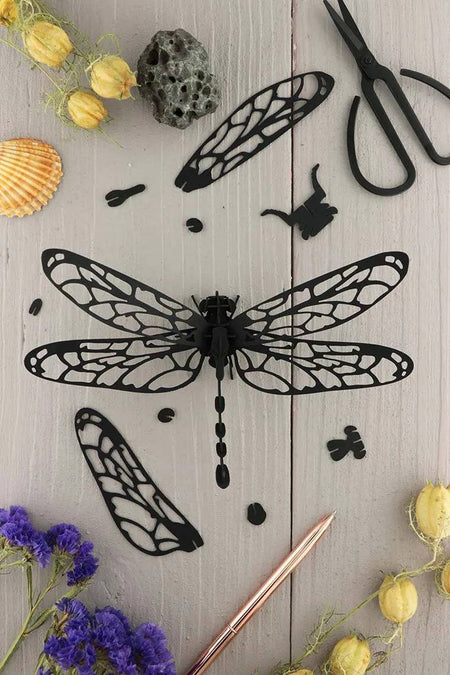 Black paper Anisoptera dragonfly craft by Assembli featuring detailed paper wings and body in a realistic insect design.