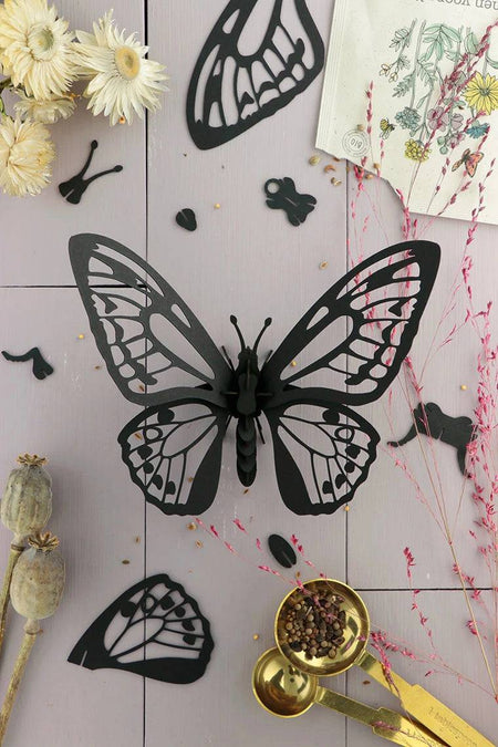Black paper Birdwing butterfly craft by Assembli, featuring detailed wings and elegant design on white background.
