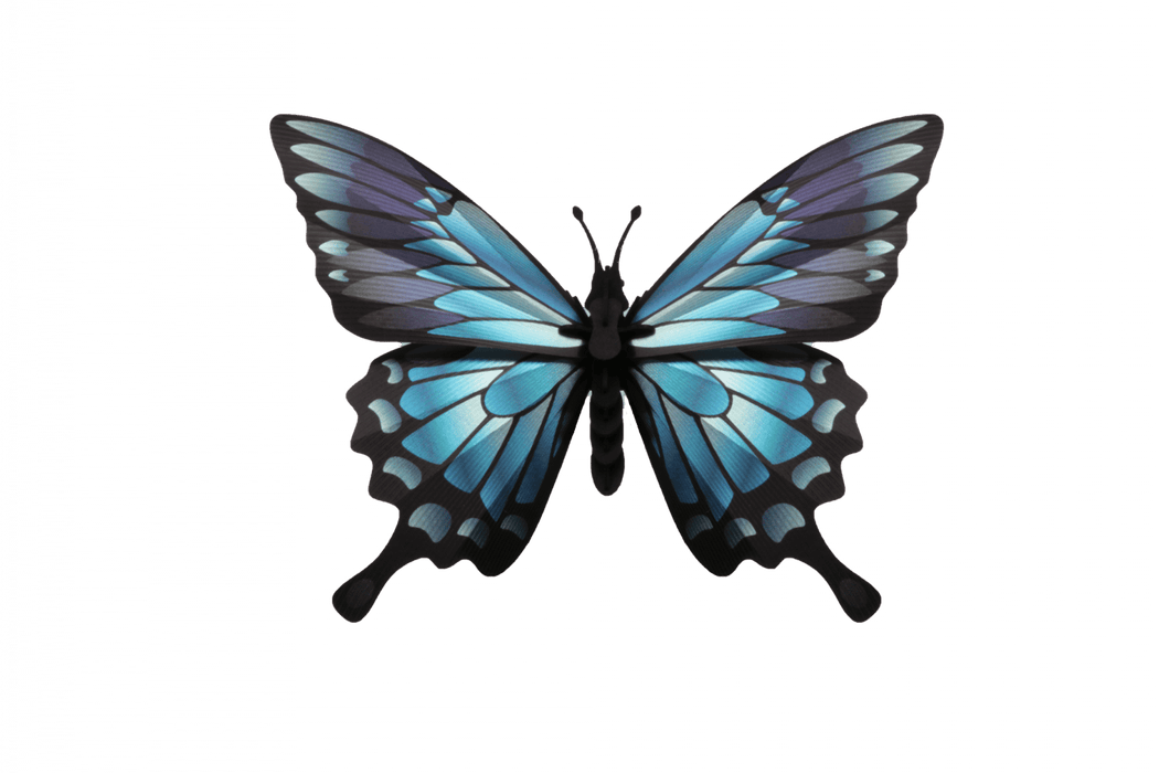 Blue paper butterfly craft by Assembli made from textured blue paper with detailed wings, suitable for DIY arts and crafts projects.
