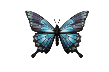 Blue paper butterfly craft by Assembli made from textured blue paper with detailed wings, suitable for DIY arts and crafts projects.