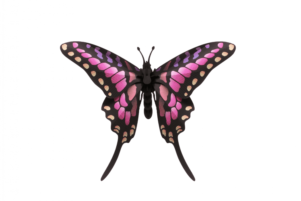 Paper Common Swordtail Butterfly craft by Assembli, featuring detailed paper wings and vibrant colors for decorative use.