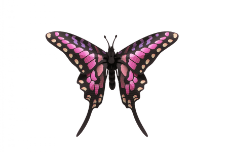 Paper Common Swordtail Butterfly craft by Assembli, featuring detailed paper wings and vibrant colors for decorative use.