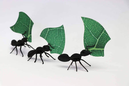 Paper Leafcutter Ants craft by Assembli, featuring detailed paper ants with leafcutter designs on a neutral background.