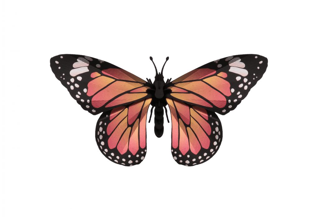 Assembli Paper Monarch Butterfly craft featuring a delicate, colorful paper butterfly for creative DIY projects.