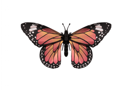 Assembli Paper Monarch Butterfly craft featuring a delicate, colorful paper butterfly for creative DIY projects.