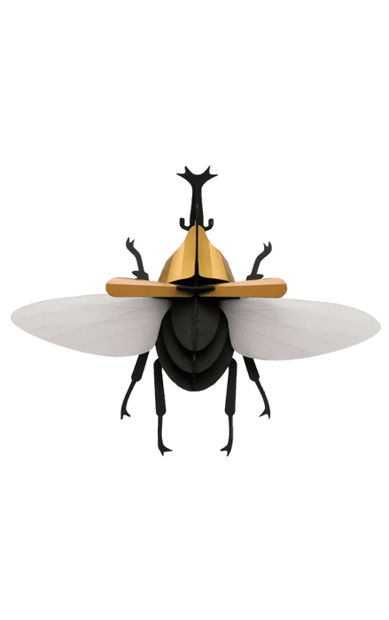 Assembli Paper Rhinoceros Beetle craft with detailed paper wings and body, showcasing intricate craft design and vibrant colors.