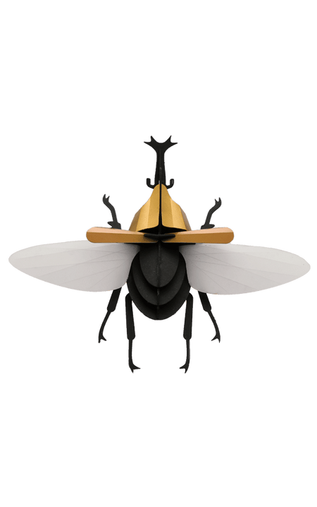 Assembli Paper Rhinoceros Beetle craft with detailed paper wings and body, showcasing intricate craft design and vibrant colors.