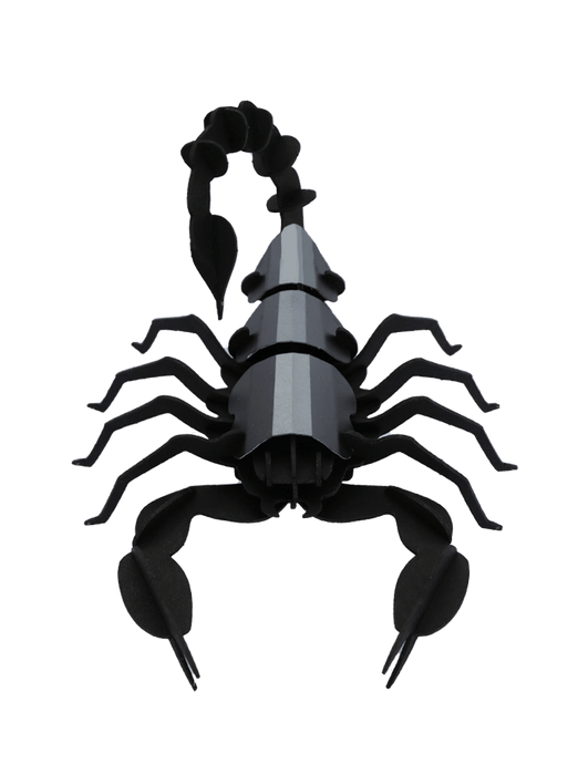 Assembli Paper Scorpion craft made from paper, showcasing detailed and realistic insect design for creative arts projects.