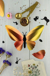 Glossy blue paper Birdwing butterfly craft by Assembli, featuring detailed wings and vibrant azure color.