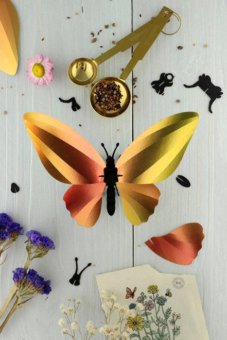 Glossy blue paper Birdwing butterfly craft by Assembli, featuring detailed wings and vibrant azure color.