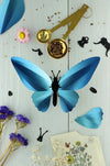 Glossy blue paper Birdwing Butterfly craft by Assembli, showcasing detailed, handcrafted paper wings and intricate design.