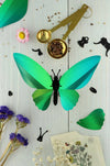 Glossy blue paper Birdwing Butterfly craft by Assembli, featuring vibrant azur blue wings and intricate paper details.