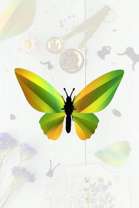 Glossy blue paper Birdwing butterfly craft by Assembli, showcasing detailed paper wings and vibrant azur color.