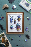 Green blend Paper Beetle Collection by Assembli, featuring colorful paper craft beetles for creative projects.