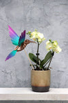 Yellow and blue paper crafts featuring a colorful paper colibri bird made from Assembli Paper Colibri crafts.