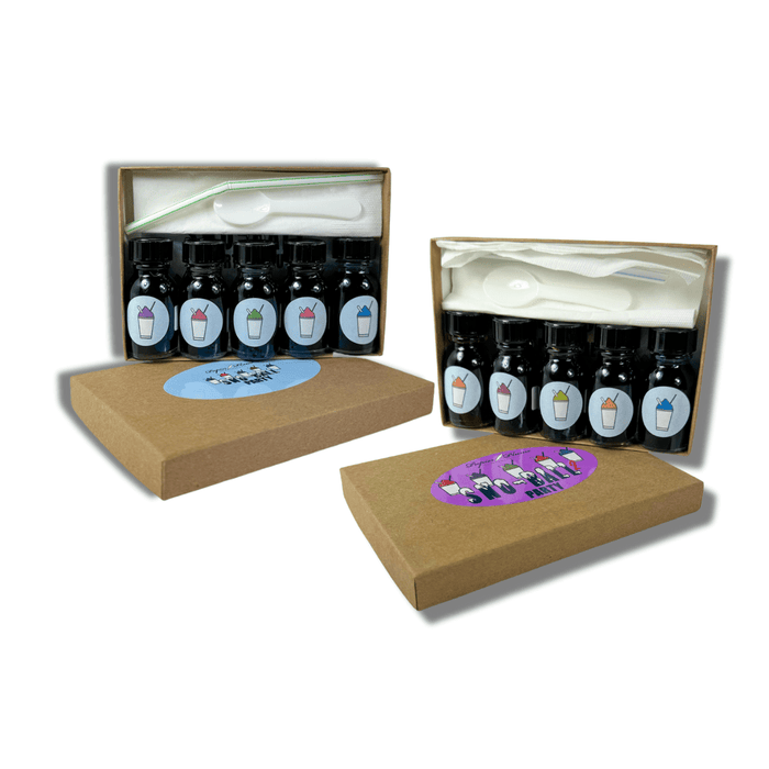 Papier Plume Sno-Ball Party fountain pen ink set with colorful ink bottles in a combo pack, perfect for writing and calligraphy.