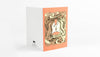 Pepin Press Art Nouveau correspondence set with decorative stationery and envelopes featuring intricate vintage designs.