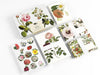 Pepin Press correspondence set featuring floral-themed stationery with letter papers and envelopes for elegant correspondence.
