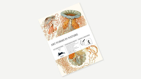 Pepin Creative Paper art forms inspired by nature, showcasing colorful, intricate paper designs by Pepin Press.