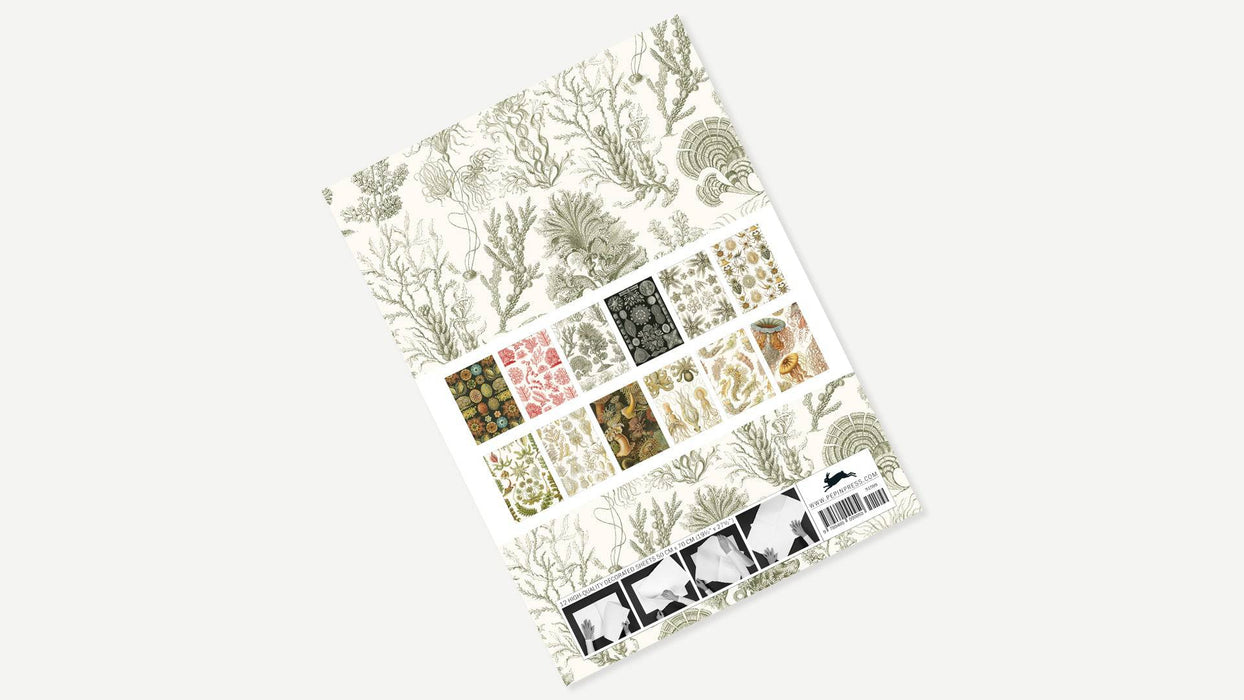 Pepin Creative Paper art forms inspired by nature, featuring intricate paper designs and natural motifs by Pepin Press.
