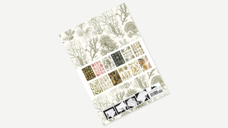 Pepin Creative Paper art forms inspired by nature, featuring intricate paper designs and natural motifs by Pepin Press.