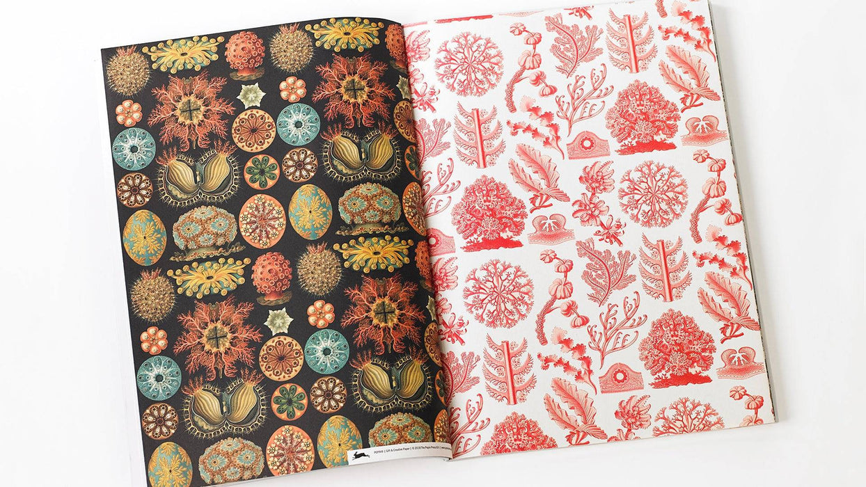 Pepin Creative Paper Art Forms in Nature by Pepin Press, showcasing intricate natural-themed paper craft designs.