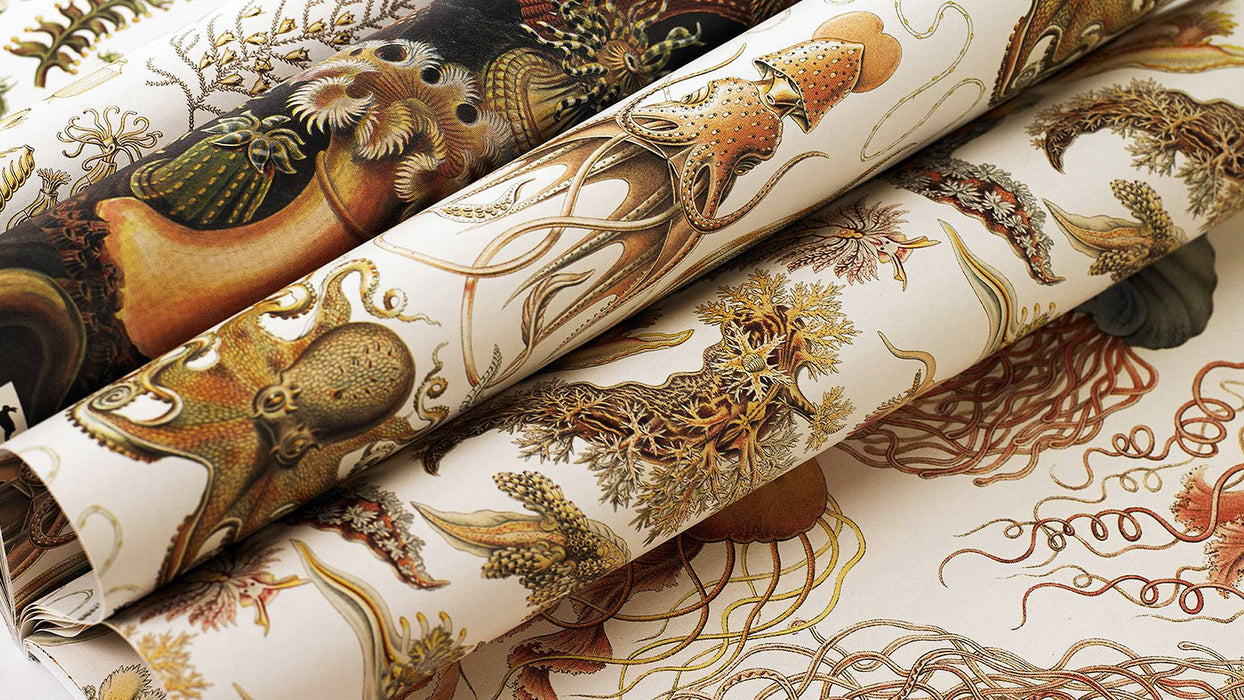 Creative paper art forms in nature by Pepin Press, showcasing intricate paper designs inspired by natural elements.