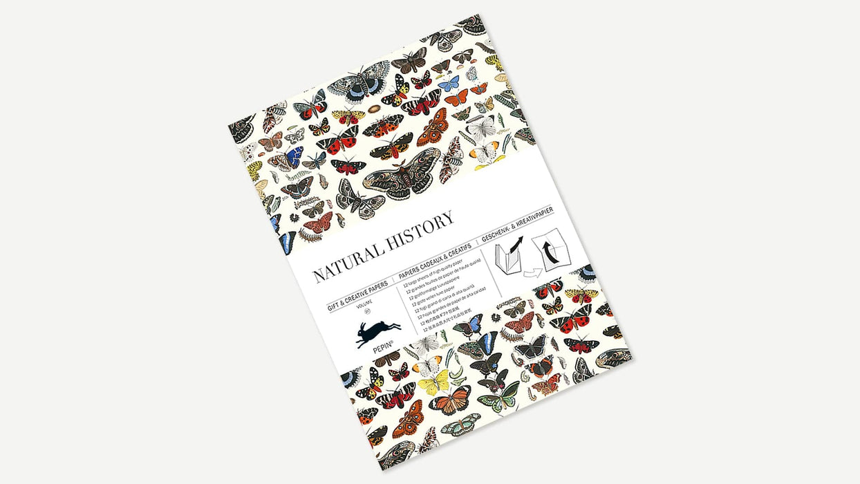 Pepin Press Creative Paper in Natural History design, showcasing textured, artistic paper with natural history illustrations.