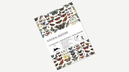 Pepin Press Creative Paper in Natural History design, showcasing textured, artistic paper with natural history illustrations.