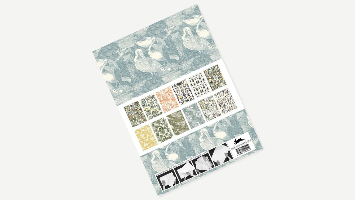 Creative paper by Pepin Press featuring detailed natural history illustrations and botanical patterns on textured paper.